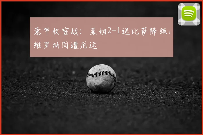 意甲收官战：莱切2-1送比萨降级，维罗纳同遭厄运