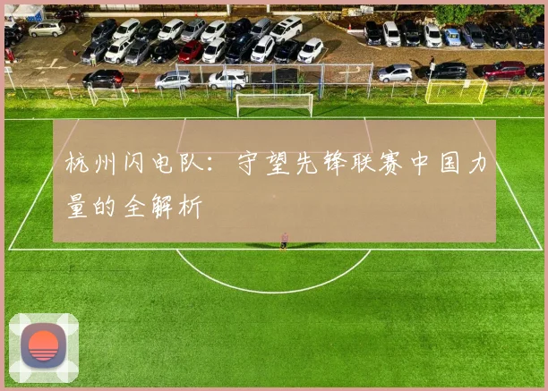 杭州闪电队：守望先锋联赛中国力量的全解析