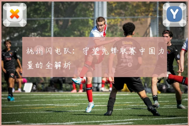 杭州闪电队：守望先锋联赛中国力量的全解析