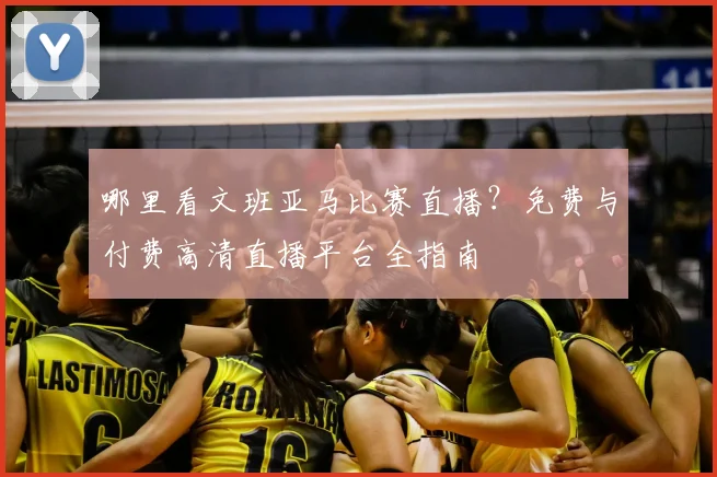 哪里看文班亚马比赛直播？免费与付费高清直播平台全指南